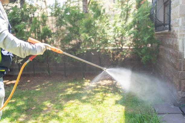 Lawn Pest Control in Dry Ridge, OH